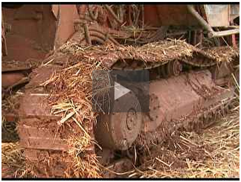 video chuva colheita 231013