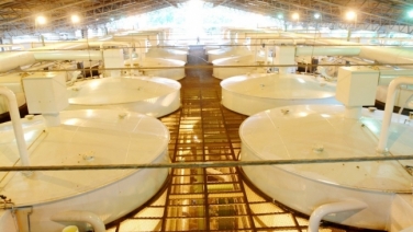 armazenagem tanques