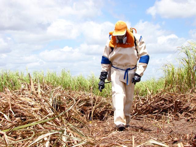Estudo vai medir água cinza, que carrega resíduos de fertilizantes e defensivos