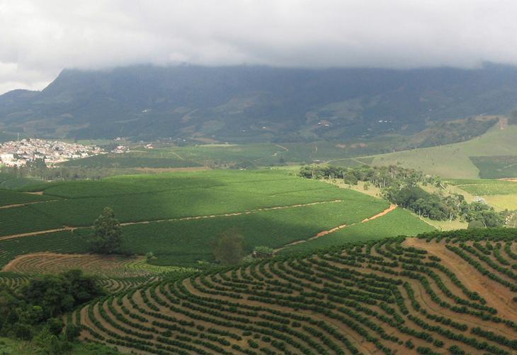 chuva-hj-201014