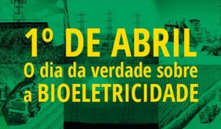 dia-verdade-bioeletricidade-310314