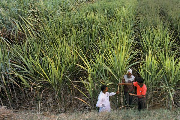 india cana 070714