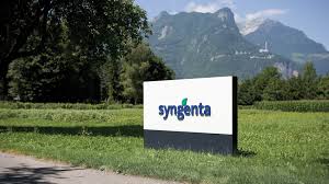syngenta 230714