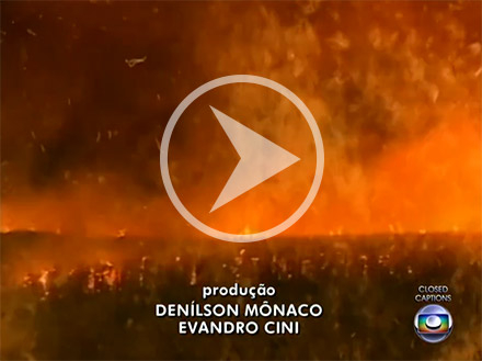 video-queimada-070314