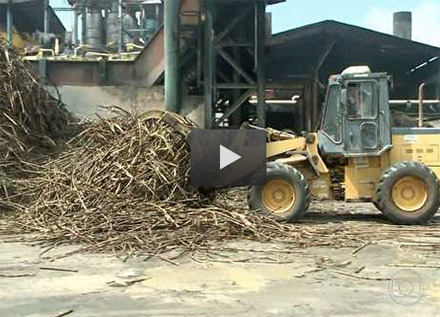 video cana 050514