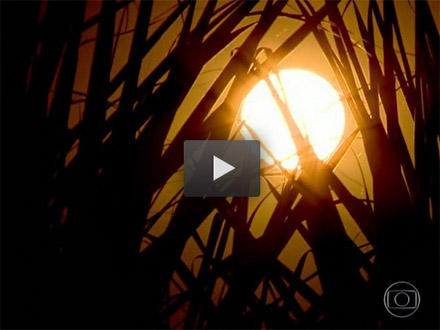 video canavial 230514