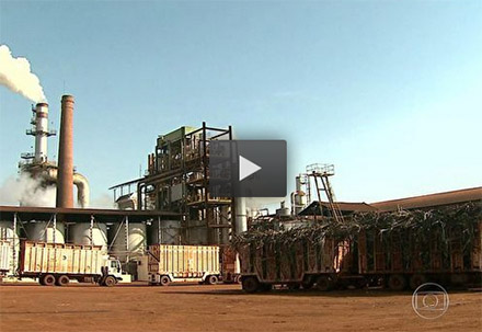 video usina cana 230514
