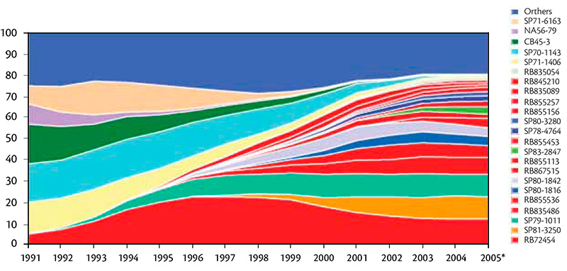 Evolução do uso de variedades de cana no Brasil. Fonte: CanaVialis (2007)