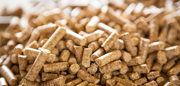 pellets 200416