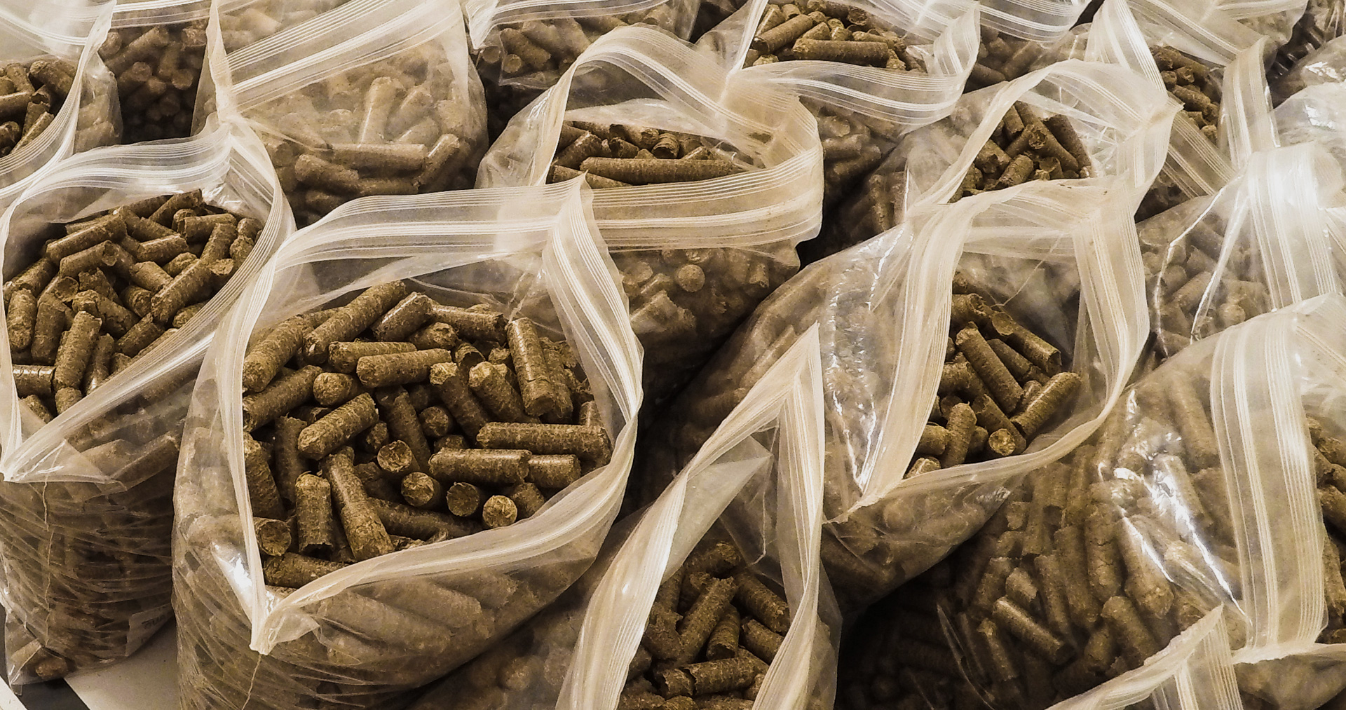 pellets bagaco cana 110316
