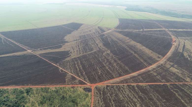 Incêndio sem autorização em canavial de MS gera multa de R$ 273 mil