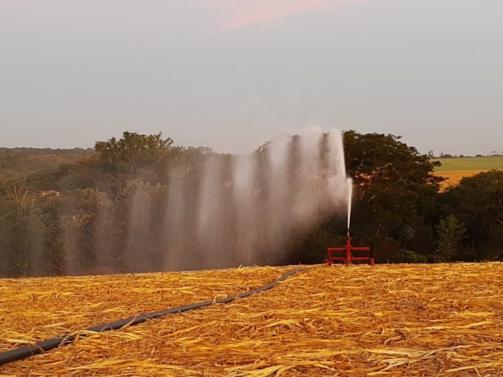 BP Bunge quer chegar em 2025 com 70% da área irrigada