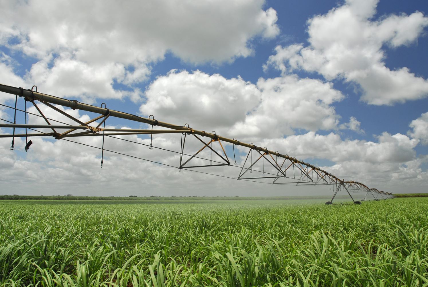 Sem participação das usinas, governo enfrenta dificuldades para diferenciar irrigação e fertirrigação da cana