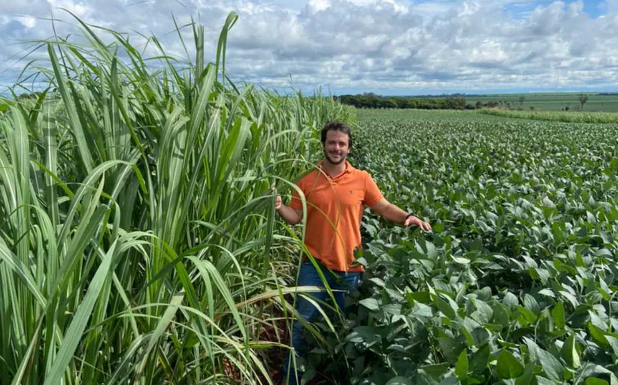 Cultivo da soja cresce em áreas antes dominadas pela cana em Morro Agudo (SP)