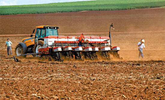Safra 2018/19 de cana no centro-sul do Brasil deve atingir 625 mi t, diz Agroconsult