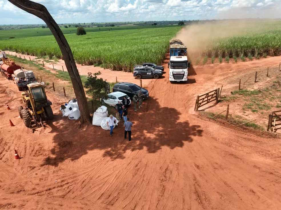 Força-tarefa verifica condições de trabalho em canaviais no interior de São Paulo