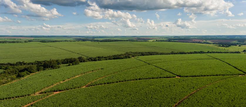 Tereos mapeia 162 mil ha e estrutura modelo de manejo para ampliar produtividade