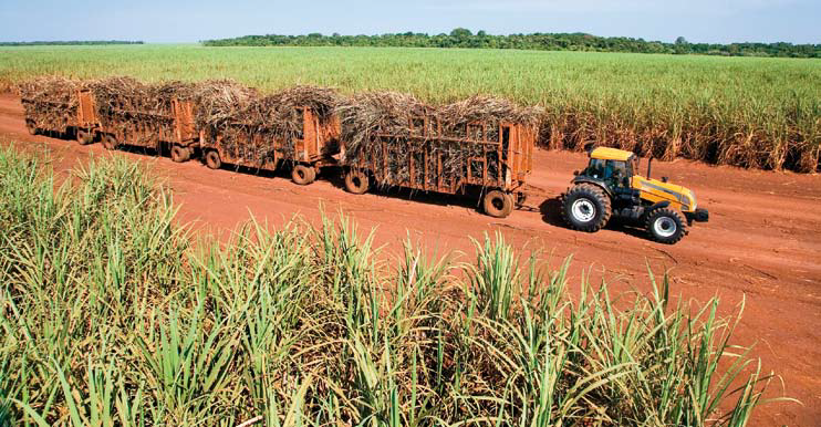 Raízen arrenda terras para plantio de cana em Minas Gerais