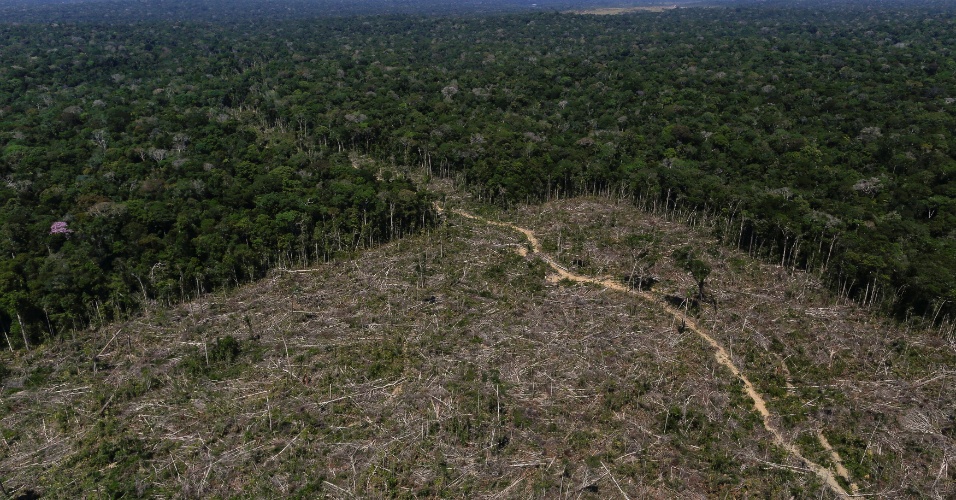 Unica pede afrouxamento de regras ambientais do RenovaBio