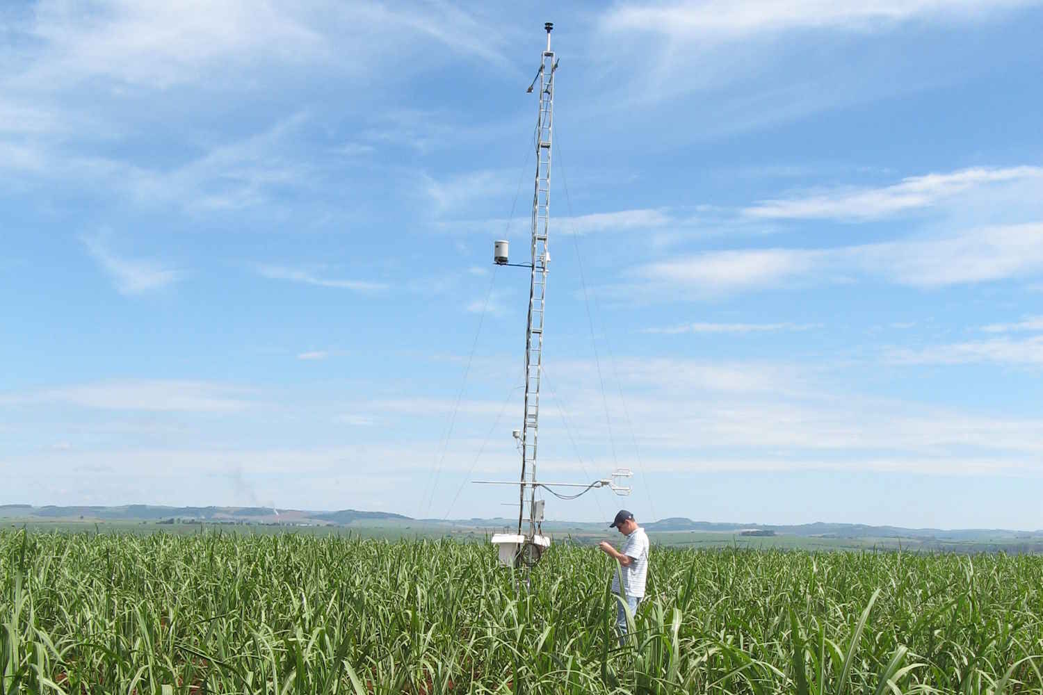 Modelo simula impactos da cana-de-açúcar no sequestro de carbono e nos recursos hídricos