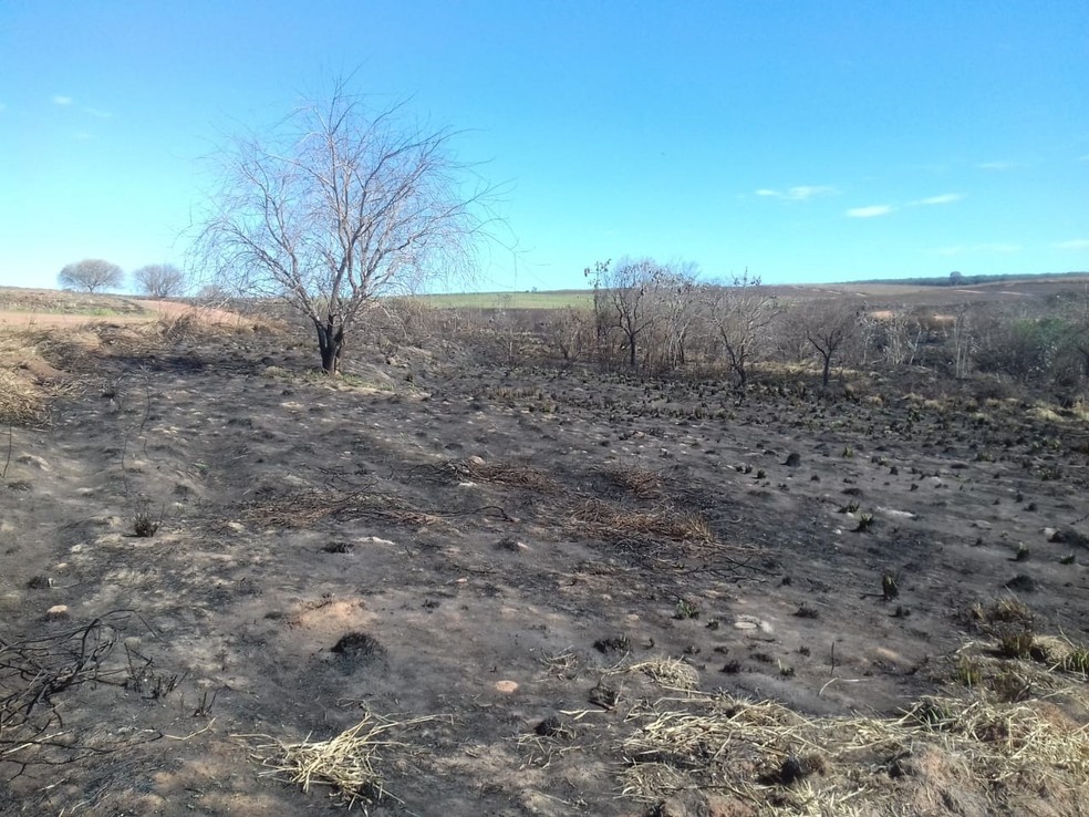 Usina de cana em Adamantina (SP) é multada em mais de R$ 360 mil por incêndio