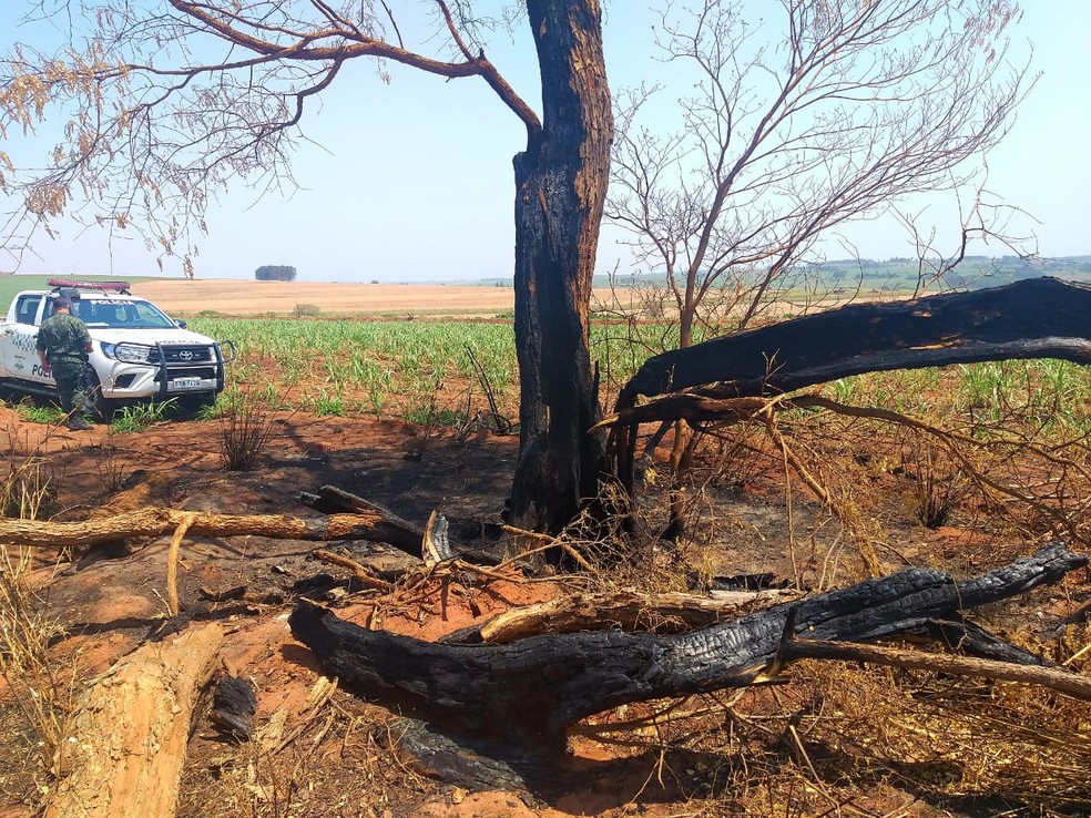 Incêndio em canavial gera multas de R$ 126,8 mil contra usina de Estrela do Norte (SP)