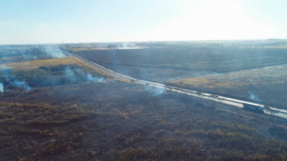 Queimada atinge áreas de cana às margens de rodovia em Guapiaçu (SP)