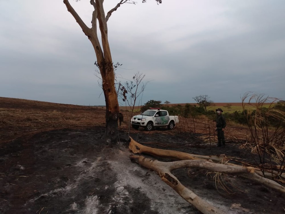 Polícia Ambiental/Divulgação
