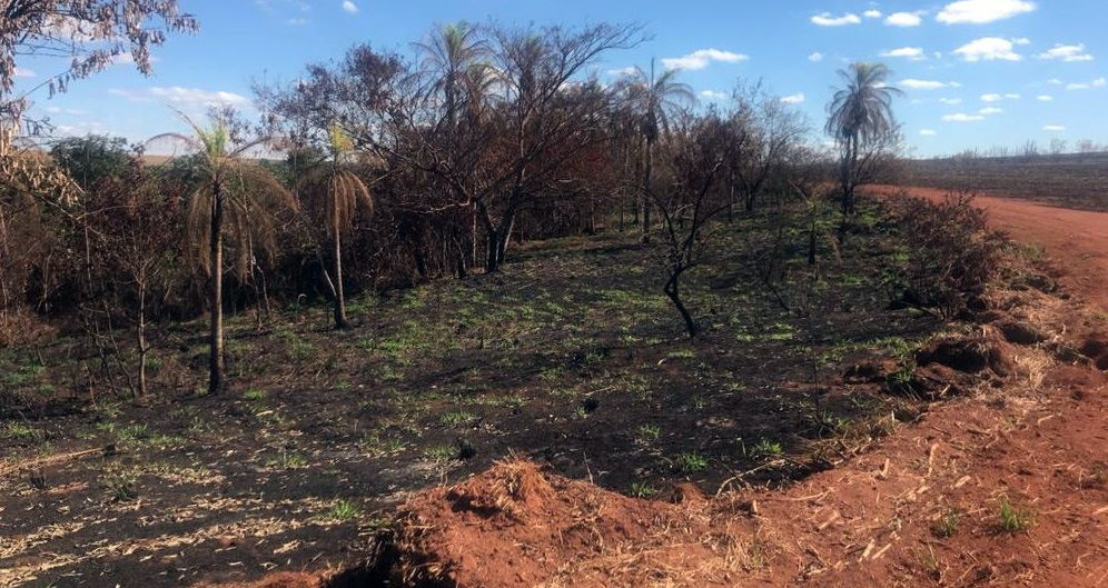 Usina sucroenergética em MS é multada por incêndio em matas protegidas