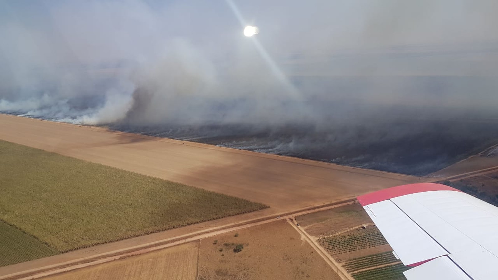 Bombeiros usam avião para combater incêndio que destruiu mil hectares de canavial em MT