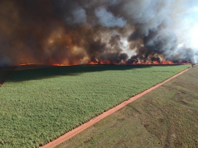 Incêndio em MS destrói 840 hectares e usina é multada em R$ 953 mil