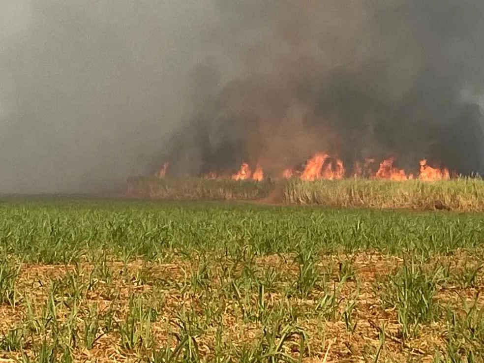 Incêndio atinge área verde e canavial da Raízen em Piracicaba (SP)