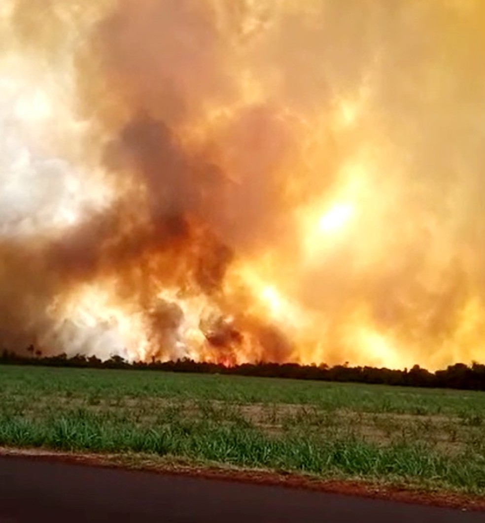 Incêndio atinge área de canavial em Quatá (SP)