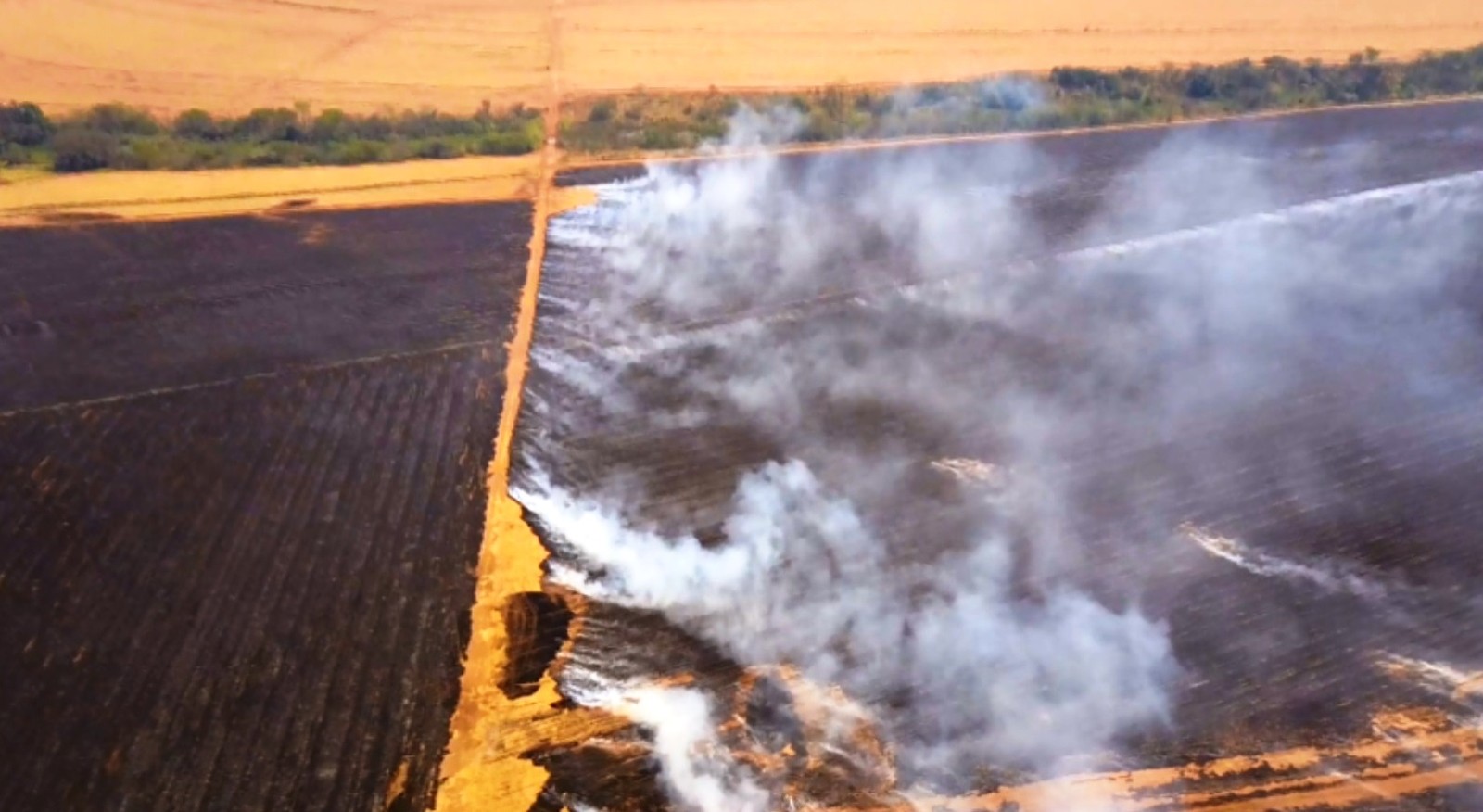 incendio raizen 1 110917
