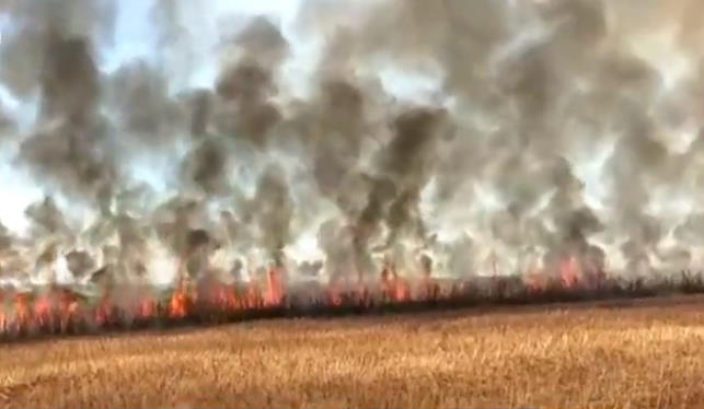 Incêndio destrói cerca de 30 hectares de plantação de cana em Rio Verde (GO)