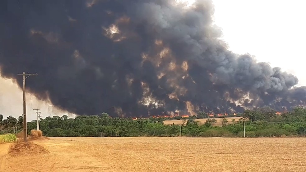 Incêndios atingem canaviais em cidades da região noroeste paulista