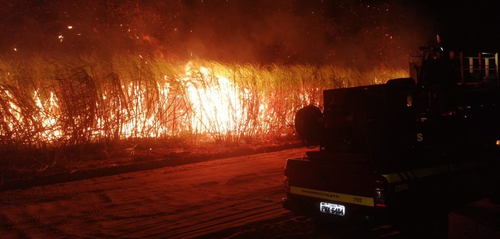 Fogo atinge quase 30 ha de vegetação e lavoura de cana na zona rural de Uberaba (MG)
