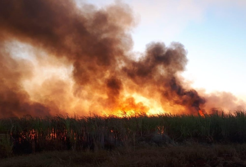 Incêndio atinge cerca de 500 hectares de canavial na zona rural de Uberlândia (MG)