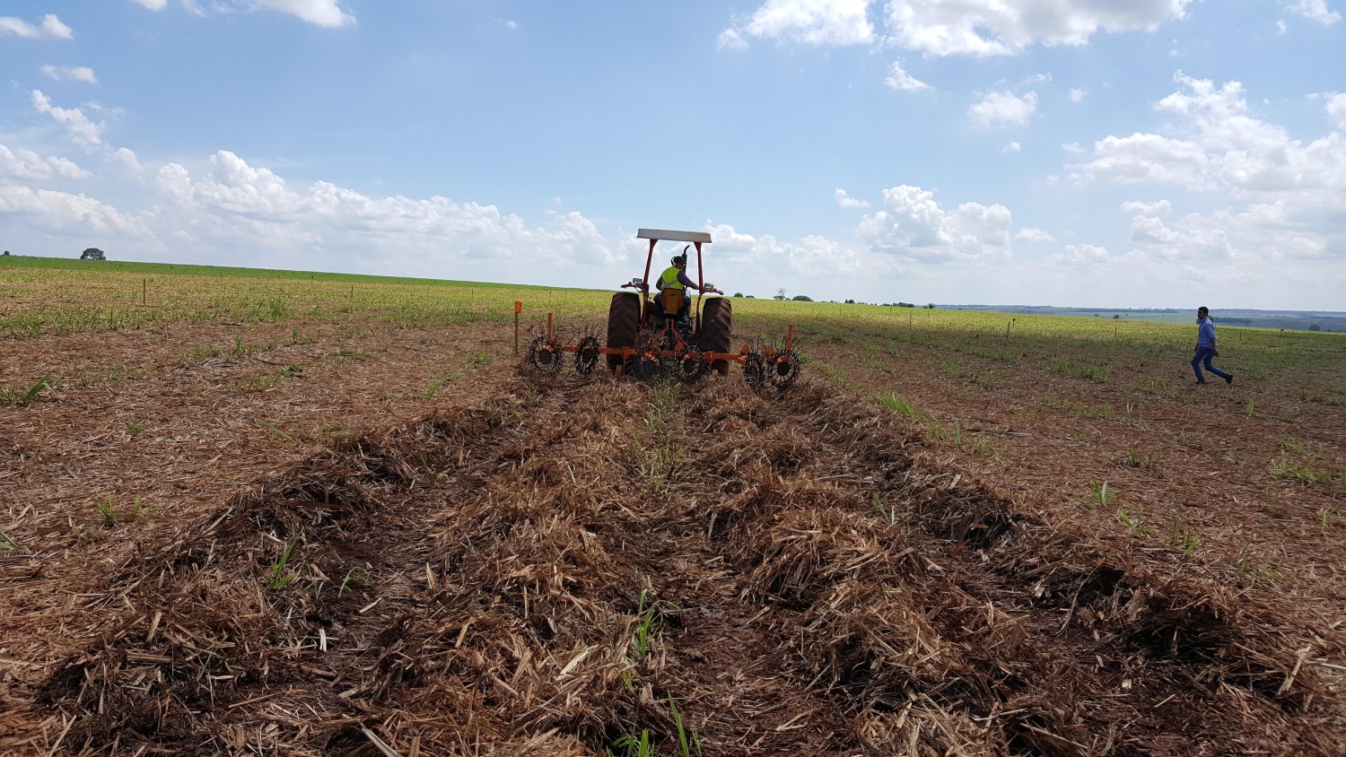 Manejo do palhiço no sul de Mato Grosso do Sul prejudica canavial