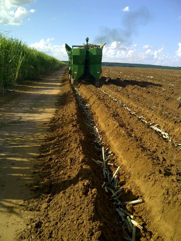 plantio mecanizado cana 280715