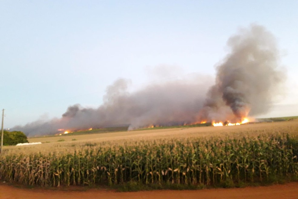 Usina da Atvos em MS é multada em quase R$ 300 mil após incêndio em canavial