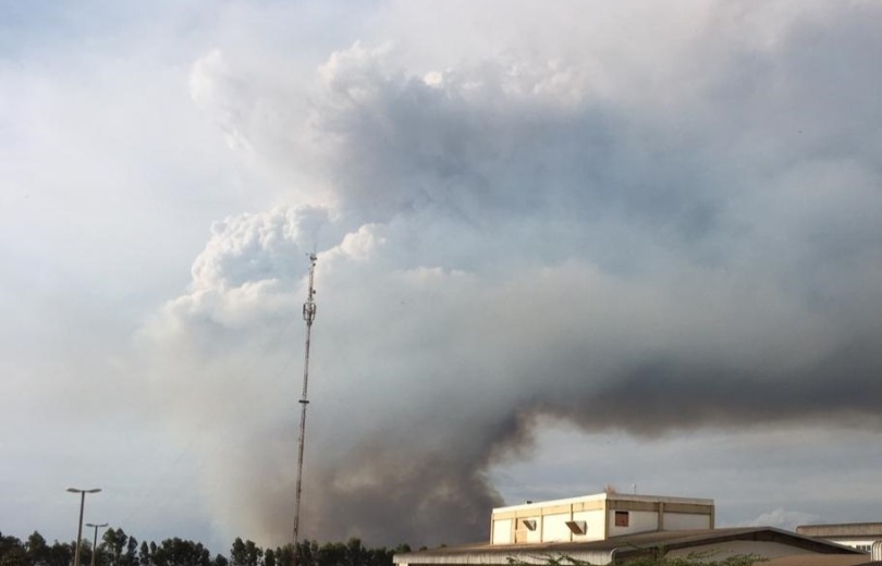 Polícia investiga se incêndios em plantações da Atvos no MS são de origem criminosa