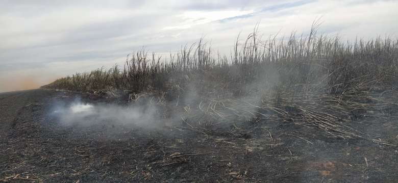 Incêndio ilegal em canavial de Rio Brilhante (MS) gera multa de mais de R$ 1 milhão