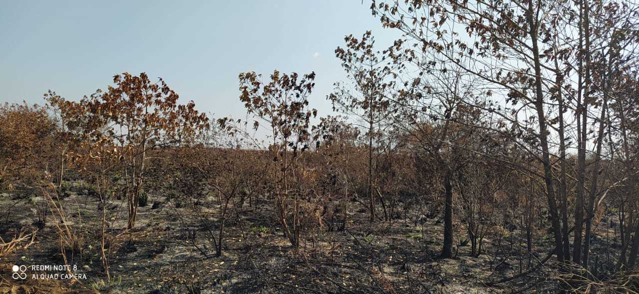 Tonon Bioenergia é multada em R$ 364 mil por incêndio em mata nativa e canavial