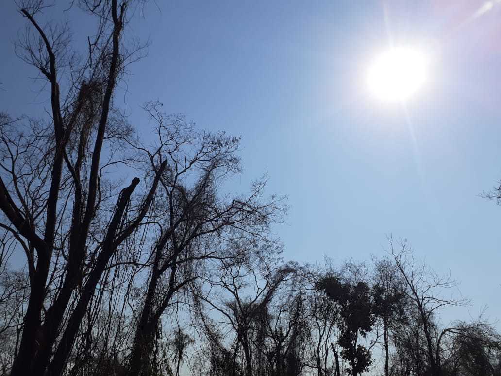 Usina de MS é multada em R$ 100 mil por causar incêndio em matas protegidas