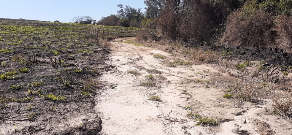 Empresa de cana é multada por queimada que destruiu mais de 500 mil m² em Porto Feliz (SP)