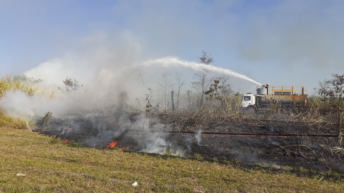 Raízen deve apresentar plano contra queima de cana em Santa Bárbara d’Oeste (SP)