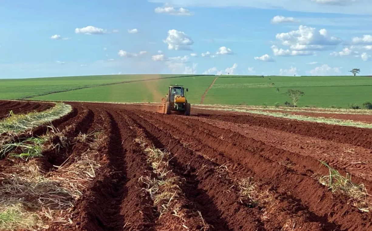 Produtores de cana em Ribeirão Preto (SP) avaliam reduzir uso de potássio nas lavouras