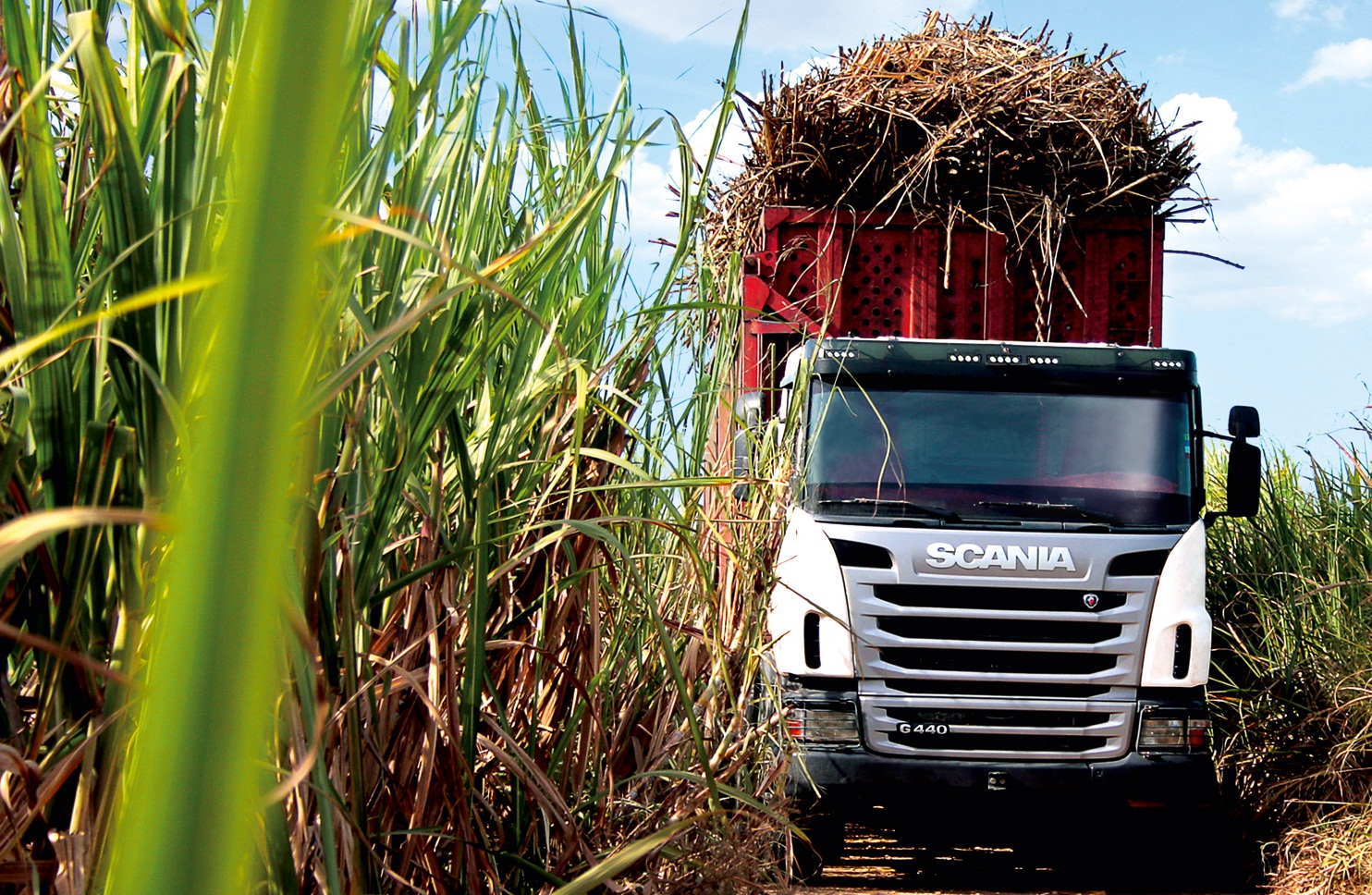 Transporte de cana-de-açúcar: quatro usinas do oeste paulista são autuadas por excesso de carga