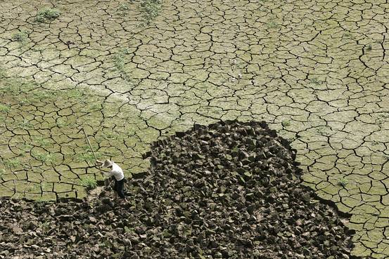 Áreas de cana no Sudeste do Brasil terão seca e calor nos próximos 10 dias